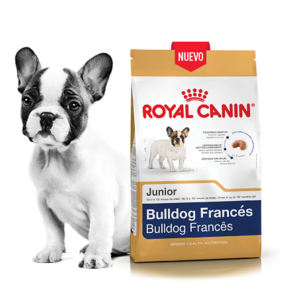 Royal Canin Bulldog Frances Junior por 3 Kg.
