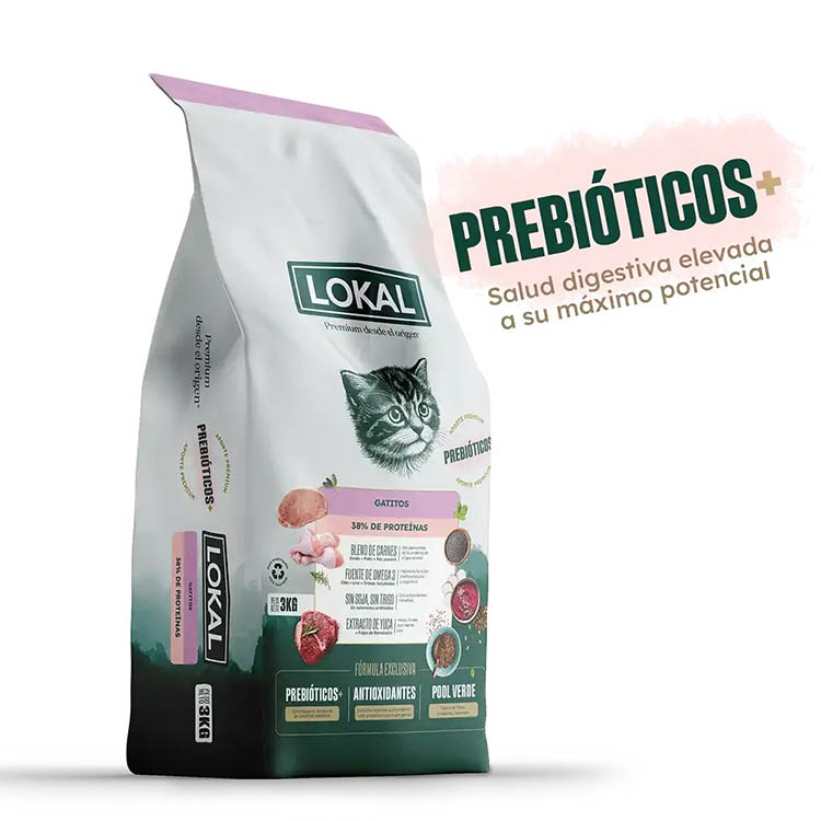 LOKAL GATITOS X 3K
