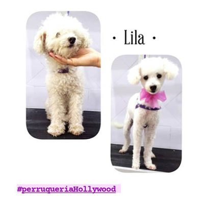 156170695_459258741888058_8914753679952401104_n