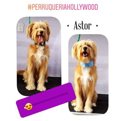 156187778_272205374312372_7131112506845651740_n